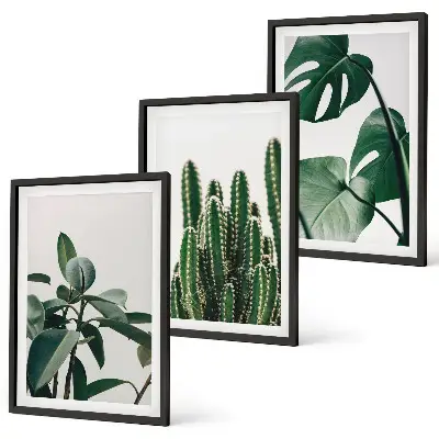 Set di 3 quadri con piante tropicali estetiche
