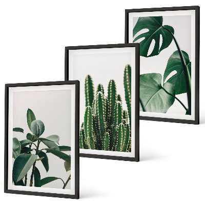 Set di 3 quadri Piante tropicali estetiche