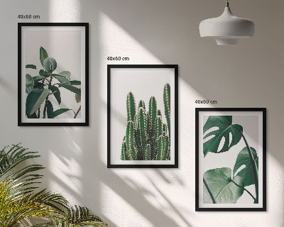 Set di 3 quadri Piante tropicali estetiche