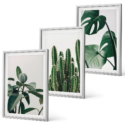 Set di 3 quadri Piante tropicali estetiche