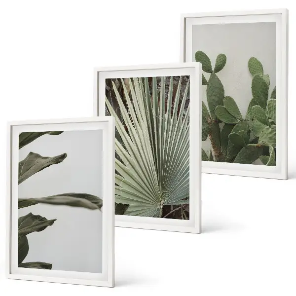 Set di 3 quadri con foglie di piante tropicali color pastello