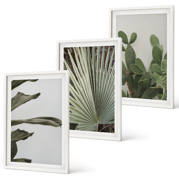 Set di 3 quadri Foglie di piante tropicali color pastello