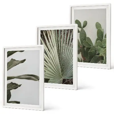 Set di 3 quadri con foglie di piante tropicali color pastello