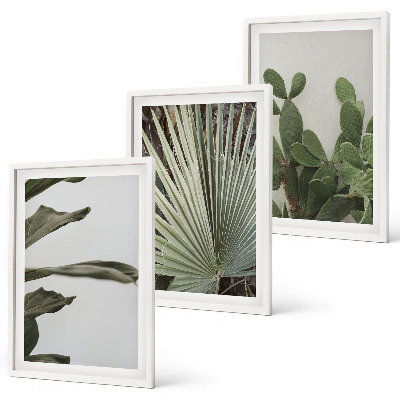 Set di 3 quadri Foglie di piante tropicali color pastello