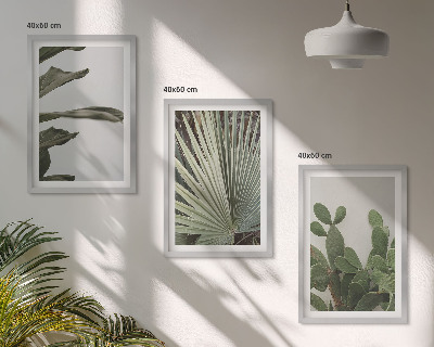 Set di 3 quadri Foglie di piante tropicali color pastello