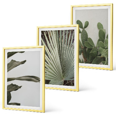 Set di 3 quadri Foglie di piante tropicali color pastello
