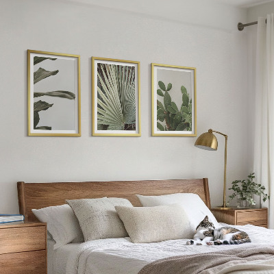 Set di 3 quadri Foglie di piante tropicali color pastello