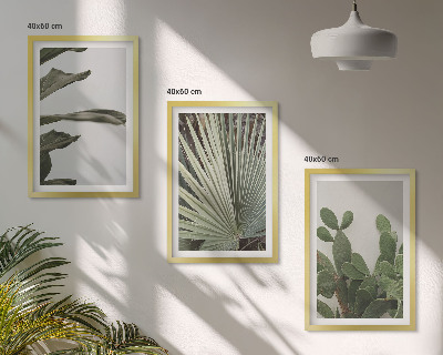 Set di 3 quadri Foglie di piante tropicali color pastello