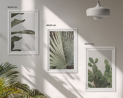 Set di 3 quadri Foglie di piante tropicali color pastello