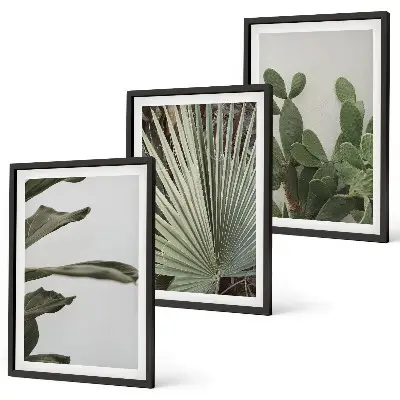 Set di 3 quadri con foglie di piante tropicali color pastello