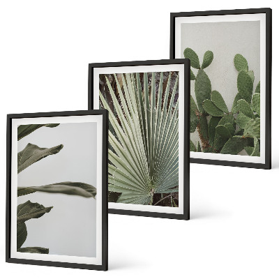 Set di 3 quadri Foglie di piante tropicali color pastello