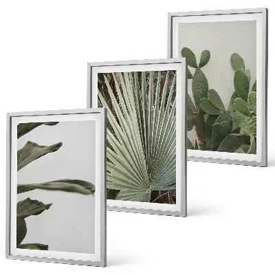 Set di 3 quadri con foglie di piante tropicali color pastello