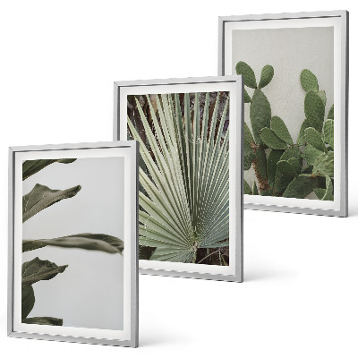 Set di 3 quadri Foglie di piante tropicali color pastello