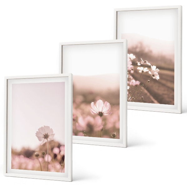 Set di 3 quadri Prati fioriti, paesaggi estivi