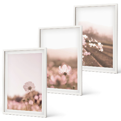 Set di 3 quadri Prati fioriti, paesaggi estivi