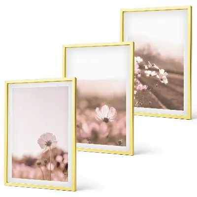 Set di 3 quadri con prati fioriti e paesaggi estivi