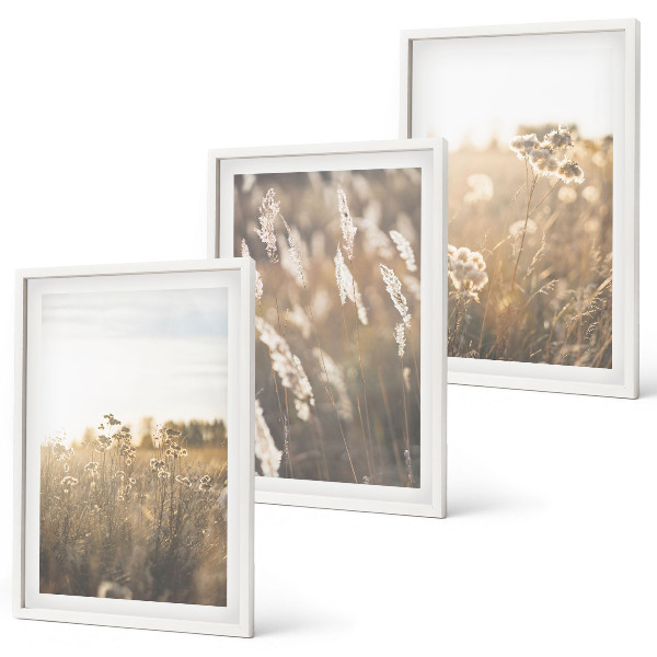 Composizione di quadri Paesaggio erba fiori calore