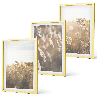 Composizione di quadri Paesaggio erba fiori calore