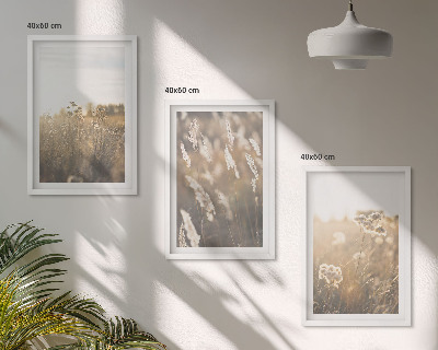 Composizione di quadri Paesaggio erba fiori calore