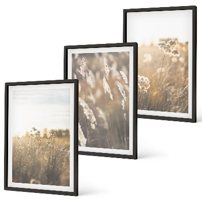 Composizione di quadri Paesaggio erba fiori calore
