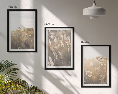 Composizione di quadri Paesaggio erba fiori calore