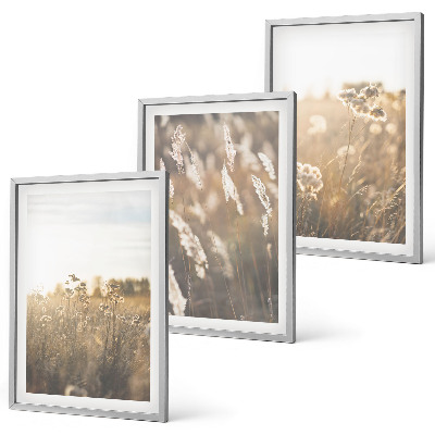 Composizione di quadri Paesaggio erba fiori calore