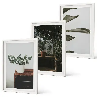 Piante rustiche in vaso set di 3 quadri