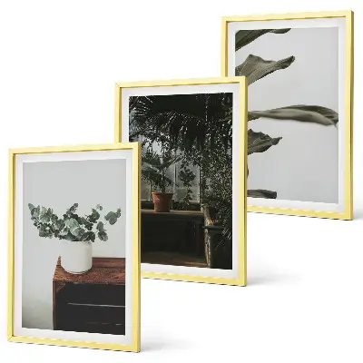 Piante rustiche in vaso set di 3 quadri
