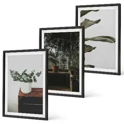 Piante rustiche in vaso set di 3 quadri