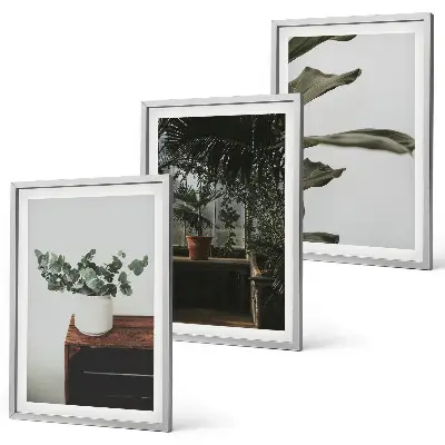 Piante rustiche in vaso set di 3 quadri