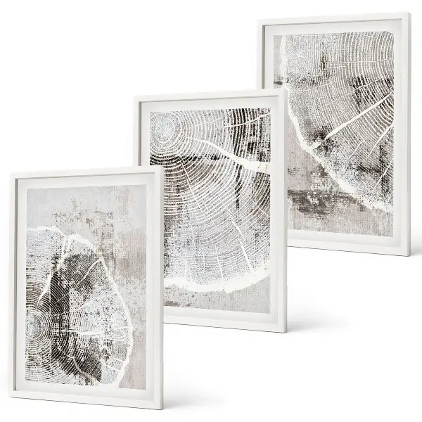 Set di quadri incorniciati con venature del legno grigio