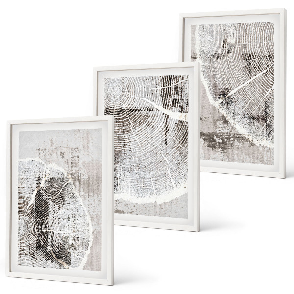 Set di quadri incorniciati venature del legno grigio