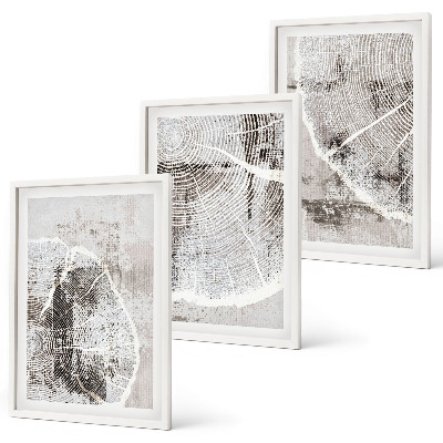 Set di quadri incorniciati venature del legno grigio