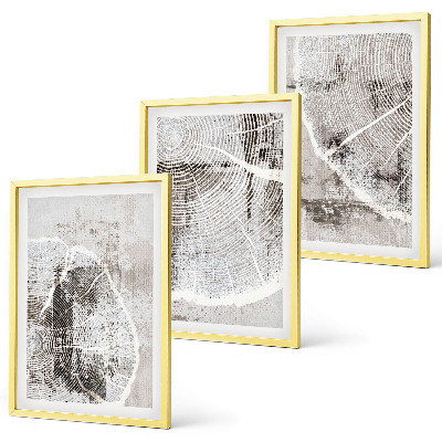 Set di quadri incorniciati venature del legno grigio