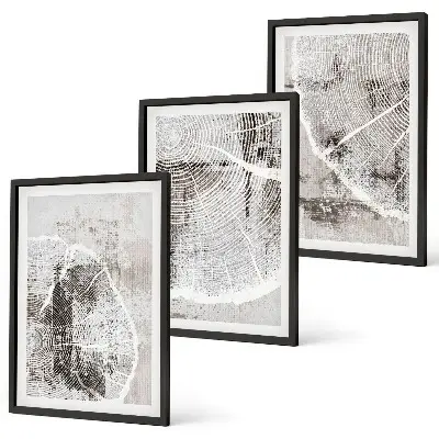 Set di quadri incorniciati con venature del legno grigio