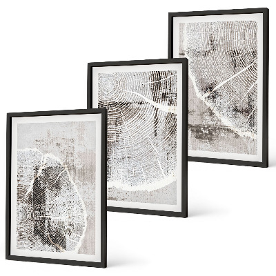 Set di quadri incorniciati venature del legno grigio