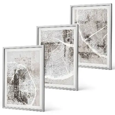 Set di quadri incorniciati con venature del legno grigio