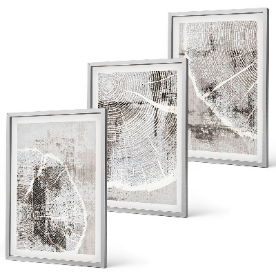 Set di quadri incorniciati venature del legno grigio