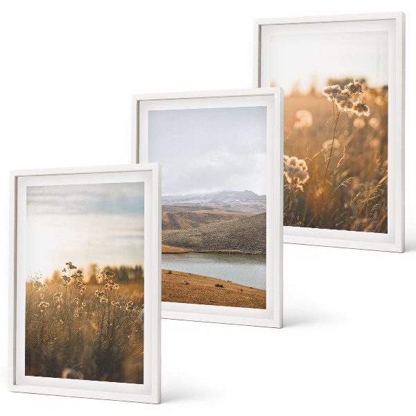 Set di 3 quadri Paesaggi prati montagne lago