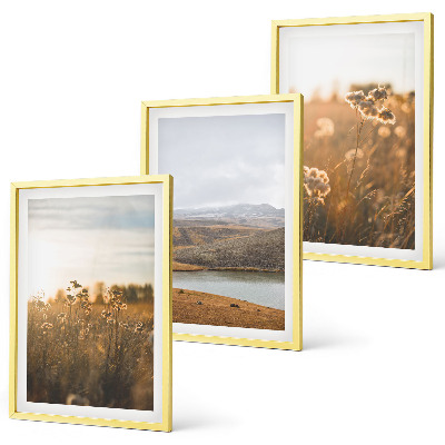 Set di 3 quadri Paesaggi prati montagne lago