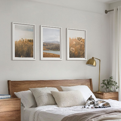 Set di 3 quadri Paesaggi prati montagne lago
