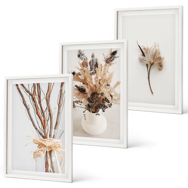 Set di 3 quadri rami di fiori minimalisti