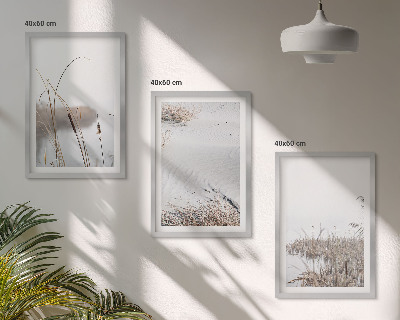 Composizione di quadri Vegetazione acquatica in estate