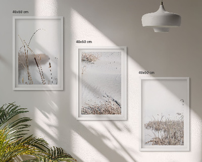 Composizione di quadri Vegetazione acquatica in estate