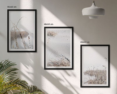 Composizione di quadri Vegetazione acquatica in estate