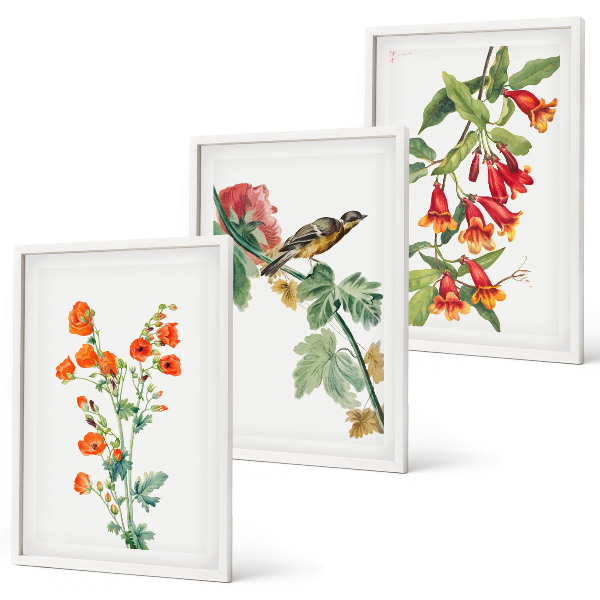 Set di 3 quadri Fiori dipinti e un uccello