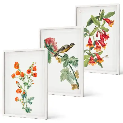 Set di 3 quadri con fiori dipinti e un uccello