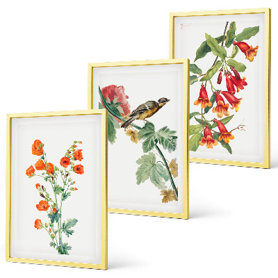 Set di 3 quadri Fiori dipinti e un uccello