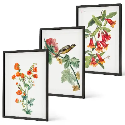 Set di 3 quadri con fiori dipinti e un uccello