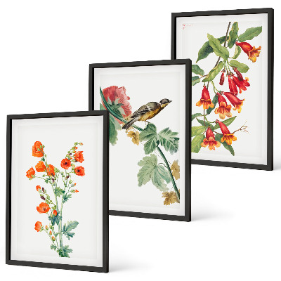 Set di 3 quadri Fiori dipinti e un uccello